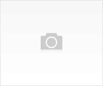 Mol Gebeliği